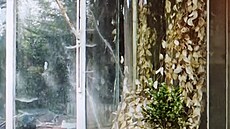 Detaily Simonovy vilky.