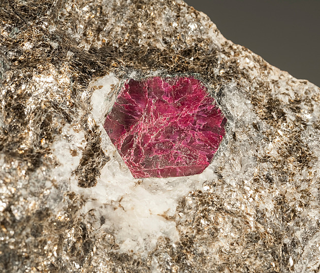 Sporná karbunkule aneb Kdy stojí za to se pohádat s učitelkou