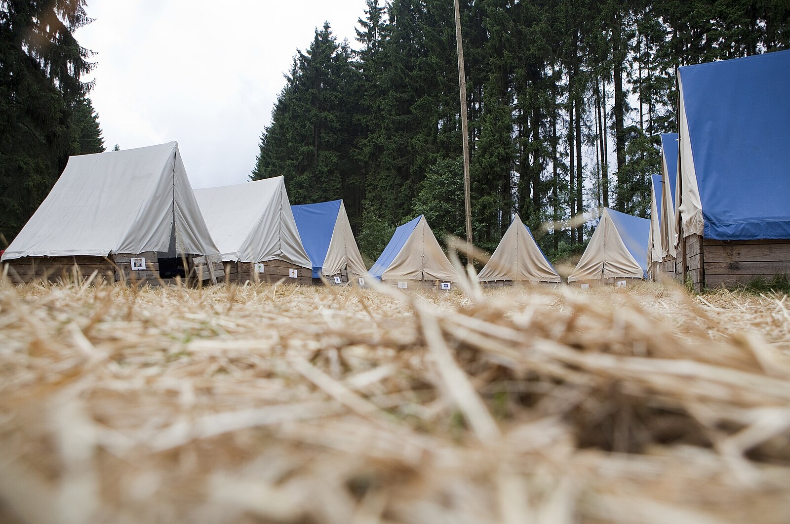 Prosíme a apelujeme. Podporujeme-li zdravý životní styl, proč škrtat peníze pro skauty či tomíky?