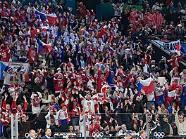 Fanou�ci b�hem hokejového zápasu �esko - Francie na olympijském turnaji v...