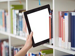 Ilustra�ní snímek.