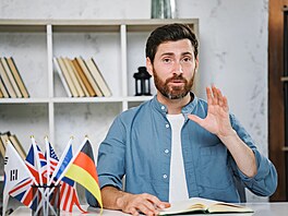 Výuka cizích jazyk�.