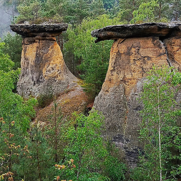 Geologie je jako vnučka s ADHD a pes patří mezi objevitele. Tato vědecká publikace je dost netradiční