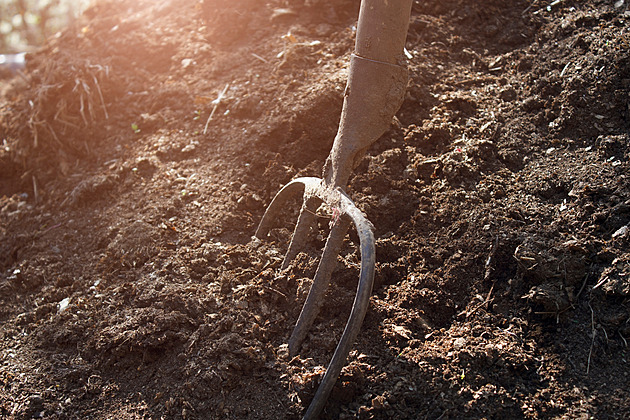 Nemám koule vám do toho hodit vidle. Jak se mění naše fráze