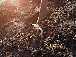 ilustra�ní snímek