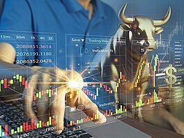 Bý�í akciový trh, který se zrodil v dob� administrativy prezidenta Joe Bidena,...