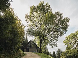 Chalupa ve stráni v Krkono�ích.