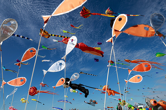 Žraloci, stonožky i sovy. Oblohu nad francouzským městečkem zaplnily stovky draků