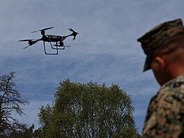Cvi�ení jednotek NATO na ostrov� Gotland.