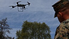 Cvi�ení jednotek NATO na ostrov� Gotland.