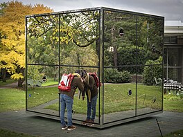 Výstava �Infinity Mirrored Room � Illusion inside the Heart� japonské um�lkyn�...