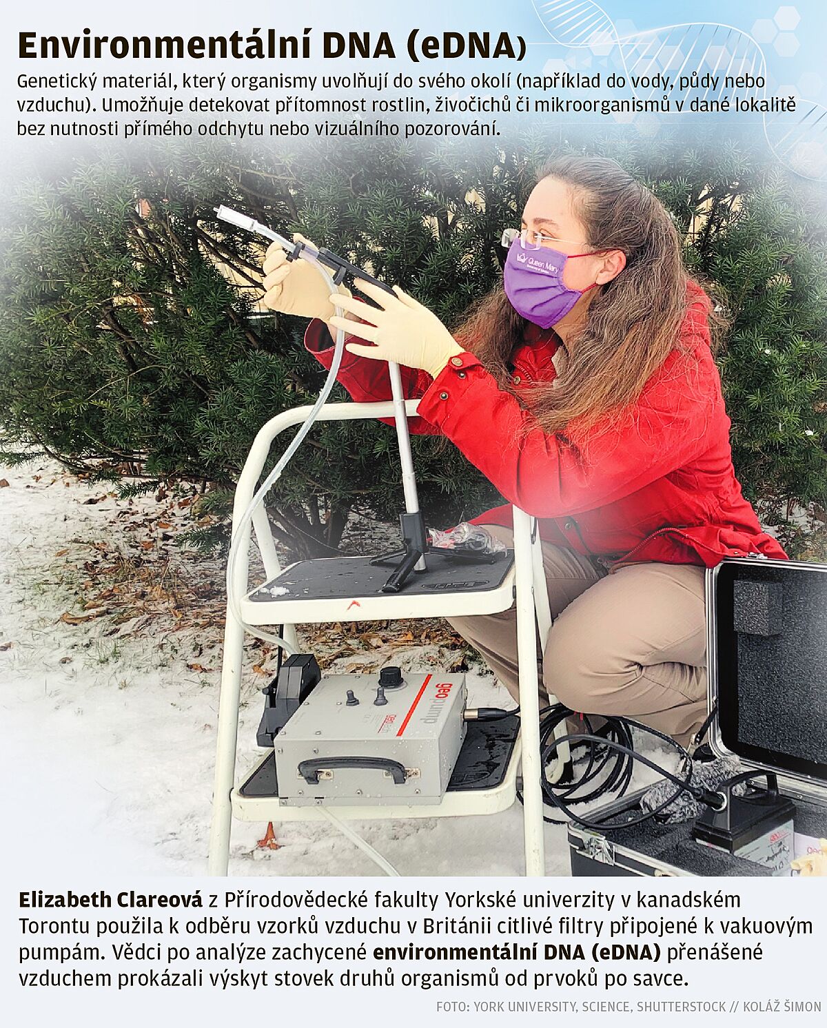 Environmentální DNA
