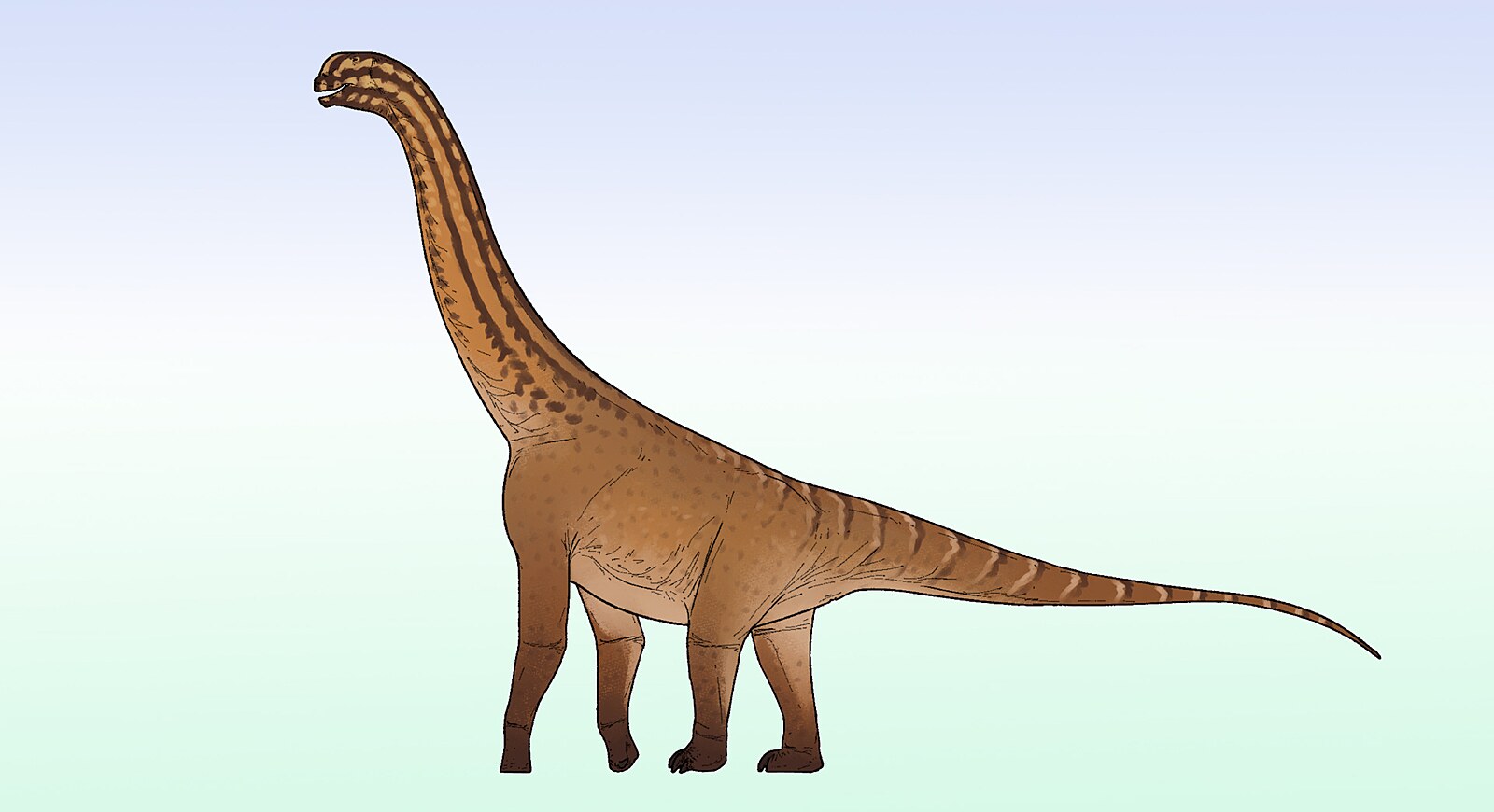 Nový sauropodní dinosaurus z Indie měřil pouhých sedm metrů. Proti svým mladším příbuzným byl trpaslík