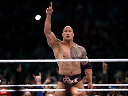 Dwayne The Rock Johnson v roce 2014 b�hem galashow WWE