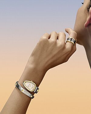 Bvlgari Gold & Steel