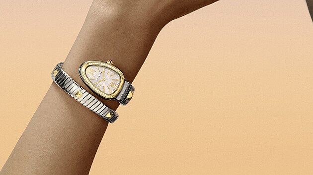 Bvlgari Gold & Steel