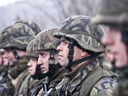 Vojci 4. brigdy rychlho nasazen bhem nejvtho letonho cvien esk