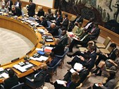 Rada bezpečnosti OSN (ilustrační foto)
