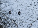 Zvren etapa extrmnho zvodu Winter Survival v Jesenkch