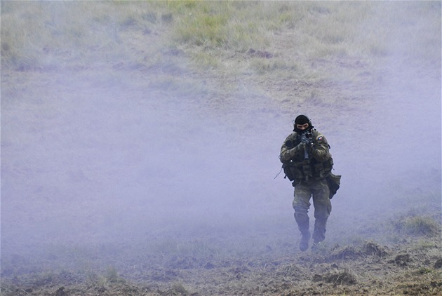 Česká armáda by mohla nabídnout speciální síly, zdravotníky nebo chemiky