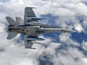 Letoun F-18 Hornet finskch vzdunch sil