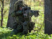Vojenské manévry NATO v Estonsku