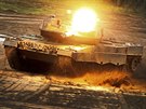 Tank Leopard nmeck armdy