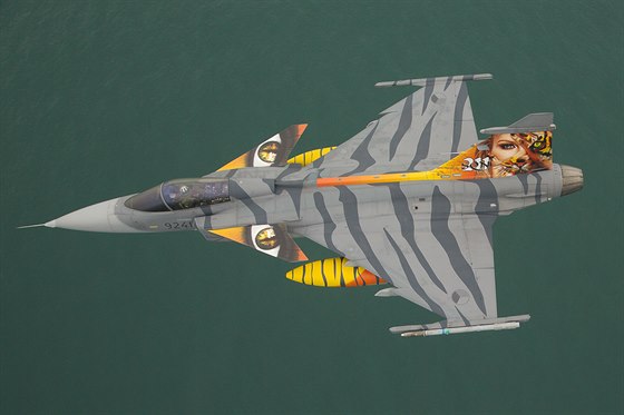 Gripen elitn 211. tyg letky z slavi na cvien Tiger Meet ve Francii