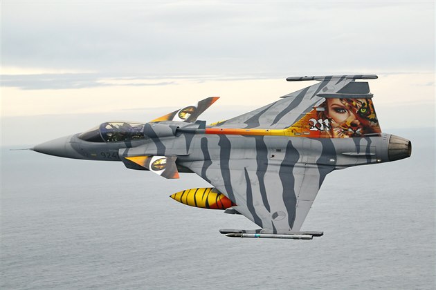 Gripen elitní 211. tygí letky z áslavi na cviení Tiger Meet ve Francii