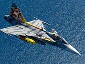 Pilot Ivo Kardo s Gripenem bhem Eurasia Airshow v Turecku