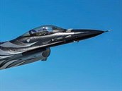 Dark Falcon belgickho F-16 Demo Team