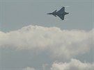 Letoun JAS-39 Gripen eskch vzdunch sil na Dnech NATO v Ostrav