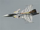 Letoun JAS-39 Gripen eskch vzdunch sil na Dnech NATO v Ostrav