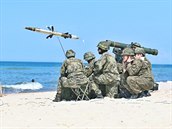 Čeští vojáci během cvičení Tobruq Legacy na pobřeží Baltu střílí z...