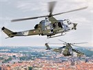 Vizualizace podoby vrtulníků Venom (v popředí) a Viper v českých barvách