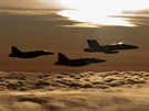 Dvojice JAS-39C Gripen eskch Vzdunch sil pi spolenm letu s F-18C...