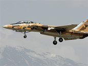 Letoun F-14 Tomcat íránských vzduných sil