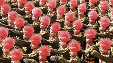 Slavnostní přehlídka indické armády