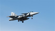 Gripen jihoafrických vzduných sil na cviení Lion Effort ve védském Ronneby