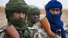Malijské vládní jednotky