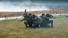 Písluníci polské vojenské policie bhem cviení Sil rychlé reakce NATO v