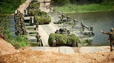 Cvičení aliančních jednotek „Iron Wolf“ v Pobaltí