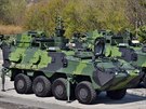 Nov speciln verze vozidel Pandur dodv armd Tatra Defense Vehicle