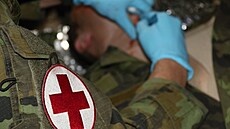 Česko posílá na Ukrajinu zdravotnický materiál z armádních skladů