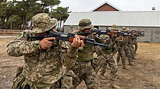 Výcvik ukrajinský vojáků v Británii