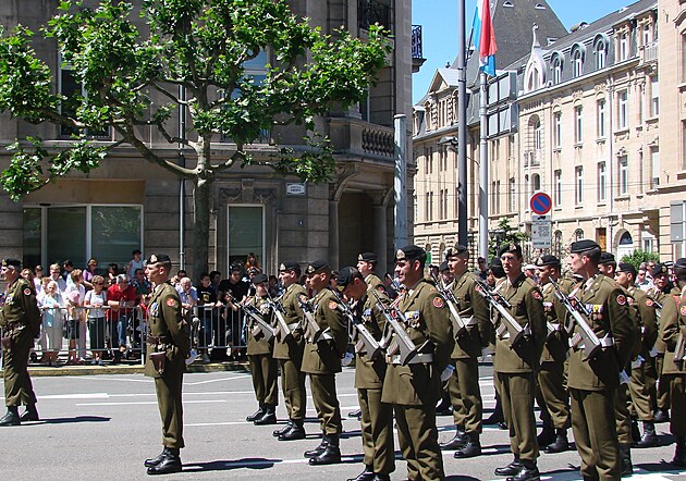 Lucemburští vojáci