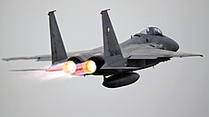 Letoun F-15 japonských vzduných sil