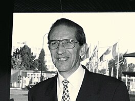 Willy Claes, generln tajemnk NATO (1994 - 1995)