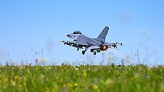 Ukrajinský letoun F-16