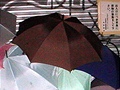 Japonsko - deštníky